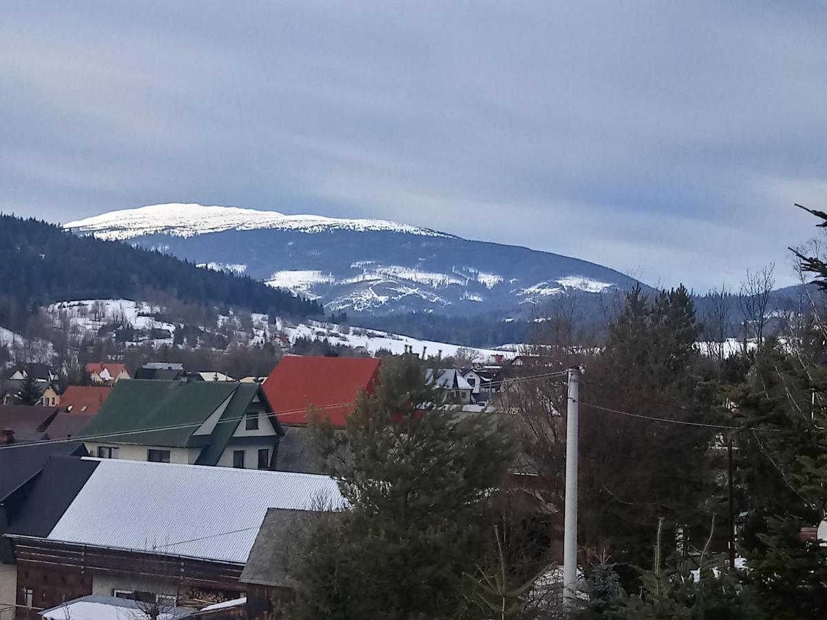 Domek Na Skarpie Zubrzyca Dolna Экстерьер фото